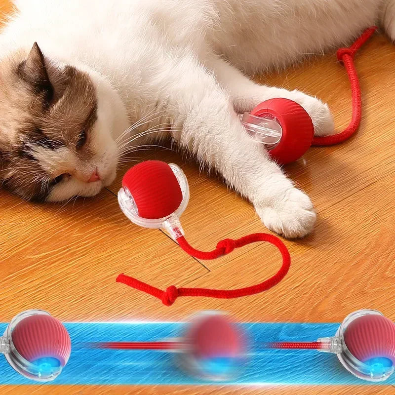 Interactive Ball Cat Toy Collection 